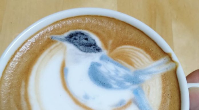Japanese Artist Creates Beautiful Coffee Latte Art