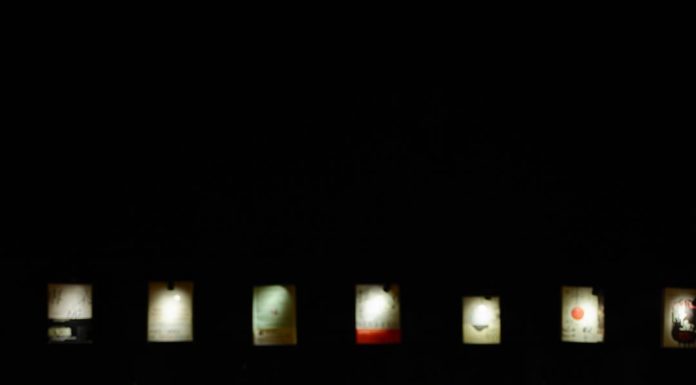 The Dark Library – Where Every Book is in The Spotlight