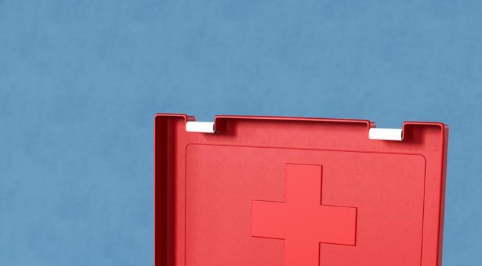 Food Imagined as an “In Case of Emergency” Tools