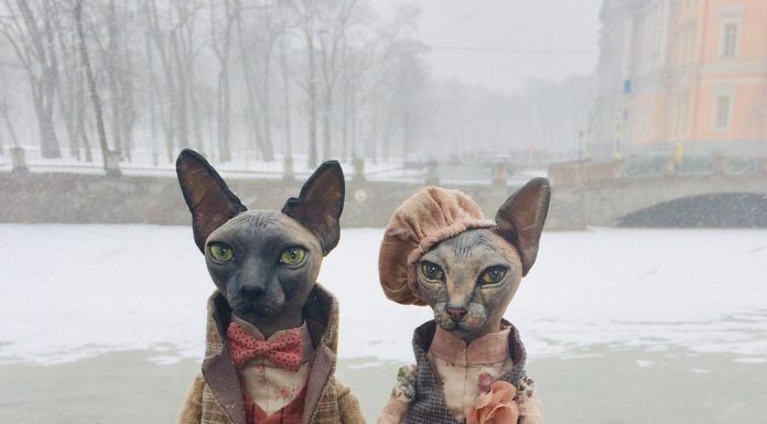 Unbelievable Realistic Dolls Of Sphynx Cats By Elena Alekhina