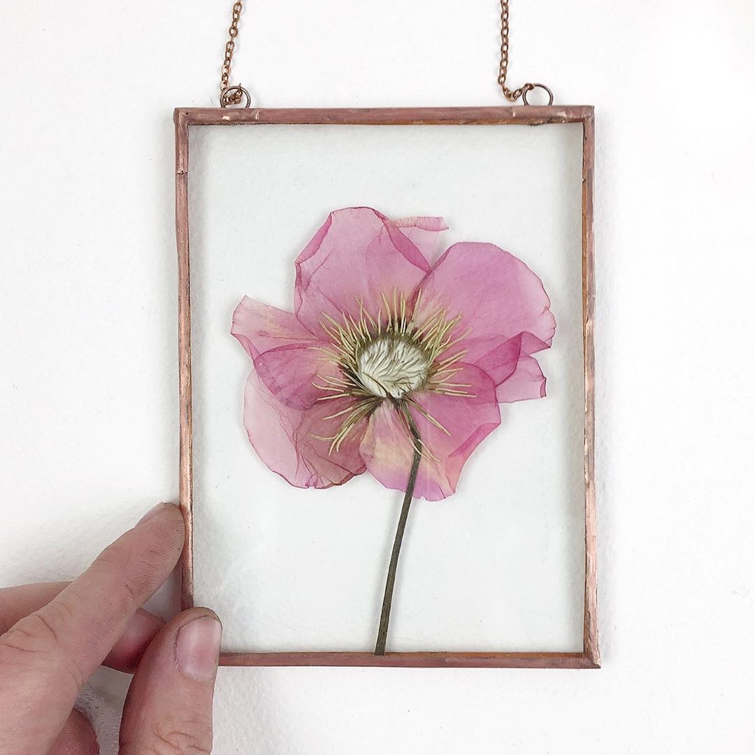 Frame Flower Work Artist Creates Gorgeous Pressed Flower Art Frames - MobiSpirit
