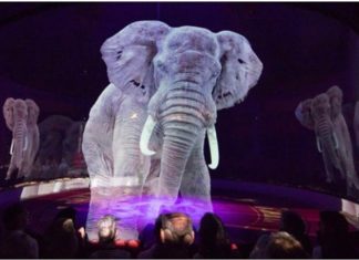 Holograms Instead Of Real Animals Used By A German Circus For Exquisite Experience