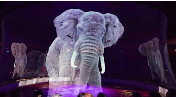 Holograms Instead Of Real Animals Used By A German Circus For Exquisite Experience