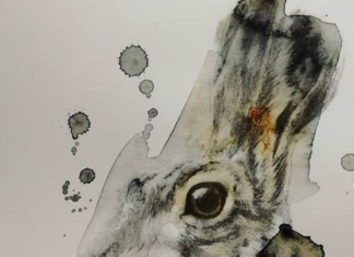 Artist Paints Finland’s Animals