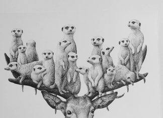 Bizarre Black and White Illustrations by Redmer Hoekstra