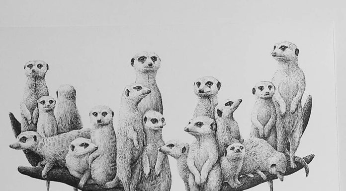 Bizarre Black and White Illustrations by Redmer Hoekstra