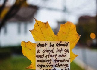 Alexandra Elle Promotes Self Love Through Her Notes