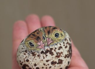 Akie Nakata Turns Stones Into Beauty