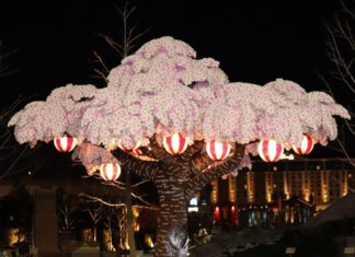 Lego Cherry Blossom Tree Earns Guinness World Record