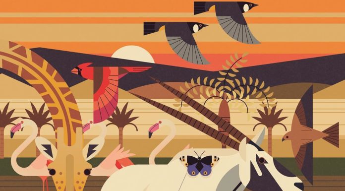 British Artist Owen Davey’s Illustrations Are Stunning