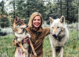 Reconnect With Nature By Taking A Walk With Wolves