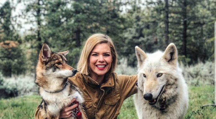 Reconnect With Nature By Taking A Walk With Wolves