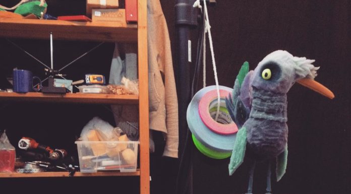 Animated Stop-Motion Movie Shows How a Bird Sees the Exotic Pet Industry