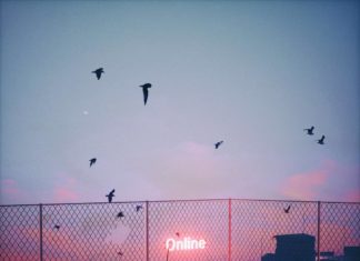 Visual Artist Quentin Deronzier’s Wonderful Photographs