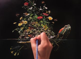 Lisa Ericson’s Paintings Show Animals Merging with Succulents and Tropical Fish