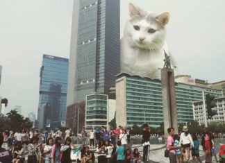 Artist Brings Giant Cats Alive With Clever Photo Manipulation