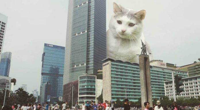 Artist Brings Giant Cats Alive With Clever Photo Manipulation