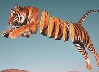 These Animal-Food Hybrids Look Like They Came Straight Out of a Foodie’s Dream