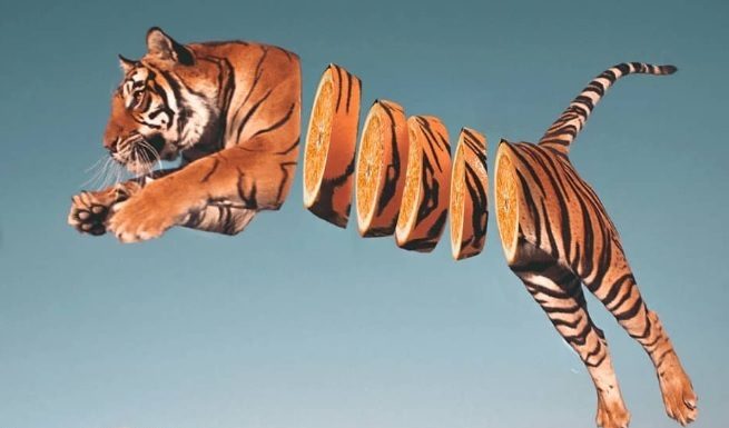 These Animal-Food Hybrids Look Like They Came Straight Out of a Foodie’s Dream