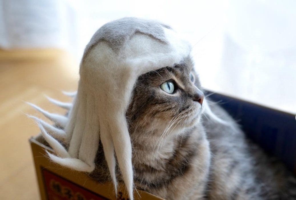 Japanese Couple Makes Cat Hats Out Of Shed Fur Mobispirit