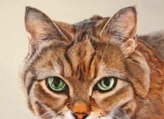 Erica Eriksdotter Quits Her Job To Paint Pet Portraits