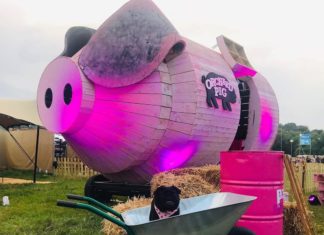 Spend The Night In This Wooden Pink Piggy Instead Of A Tent