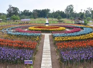 Philippine City Creates Beautiful Flower Garden Using Plastic Waste Lamitan City