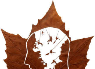 Iranian Artist Makes Remarkable Leaf-Cutting Art