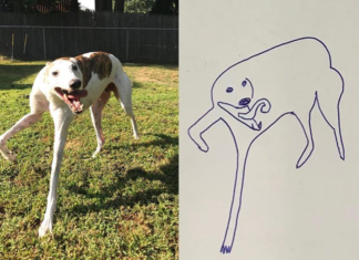 Guy Draws Hilarious Sketches Of His Dog That Are So Bad