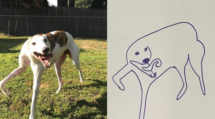 Guy Draws Hilarious Sketches Of His Dog That Are So Bad