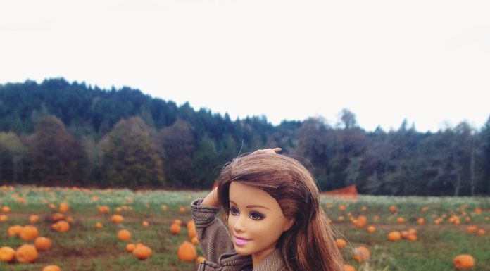 A Basic Barbie and Her Adventures