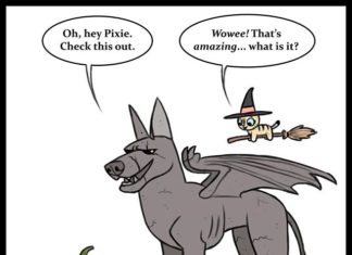 These New “Pixie and Brutus” Comics Will Make Your Day Better