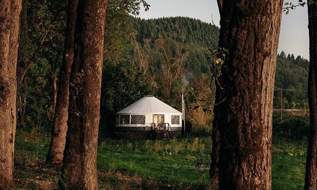 Couple Builds Their Dream House: A Yurt