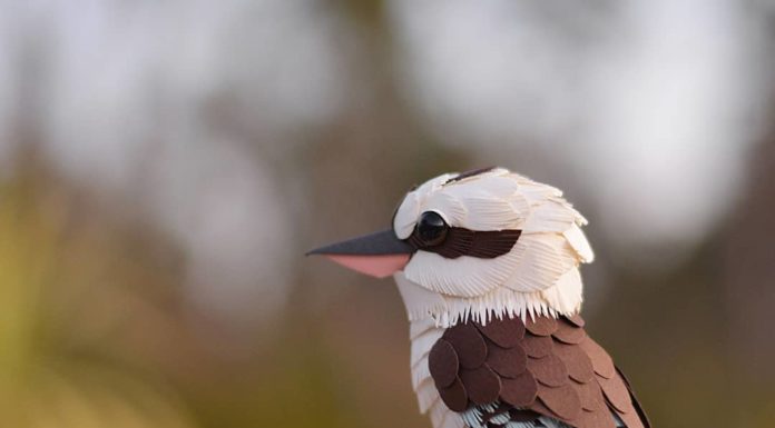 Believe It Or Not – These Animals Are All Made Of Paper!