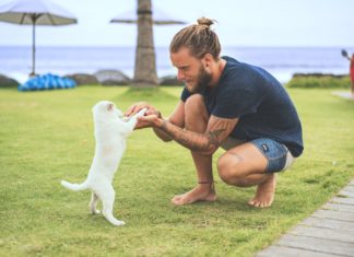 You Won’t Believe What the Latest Trend in Yoga Is