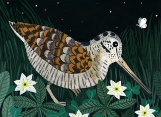 Meet the Artist Who’s Inspired by Birds