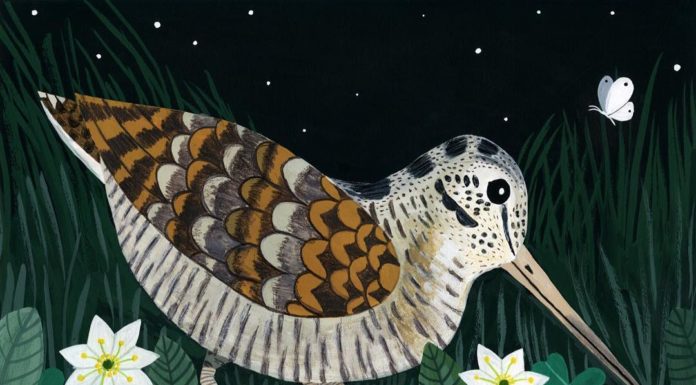 Meet the Artist Who’s Inspired by Birds