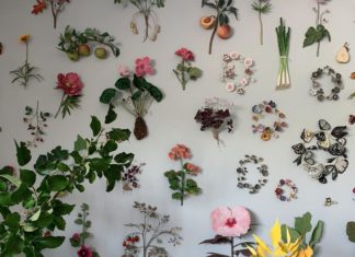 Ann Wood’s Paper Art is Inspired by Vintage Botanical Prints