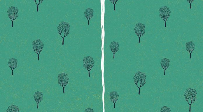 These Illustrations Would Make for Delightful Posters