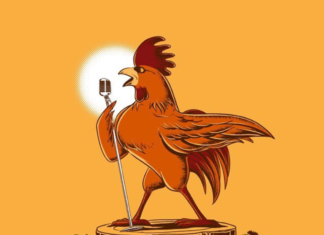 Cute Animals Doing Ordinary Things