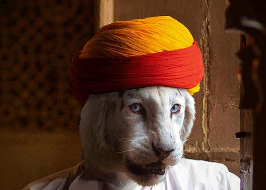 This Artist Exchanges Human Faces With Animals