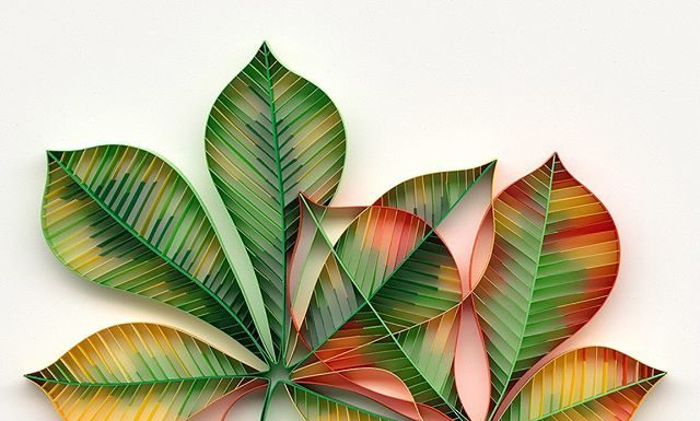 JUDiTH+ROLFE’s Paper Art Features Elements Found in Geometry and Nature