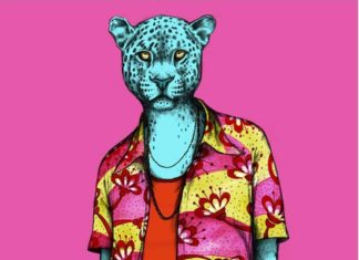 Artist Imagines Animals in Colorful and Fashionable Clothes