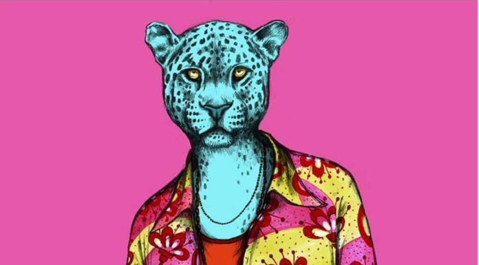 Artist Imagines Animals in Colorful and Fashionable Clothes