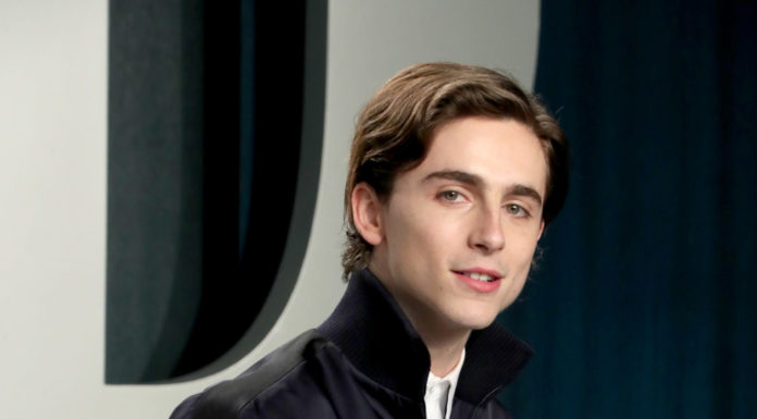Timothée Chalamet’s Oscars Outfit Was Pure Meme Gold