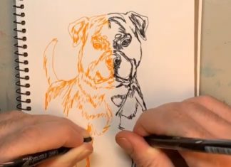Colin Darke Posts Sped-Up Videos Drawing With Both Hands