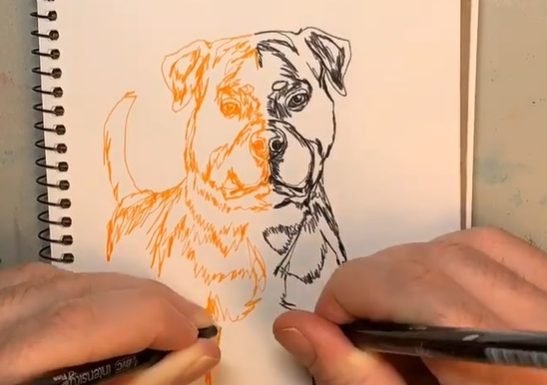 Colin Darke Posts Sped-Up Videos Drawing With Both Hands