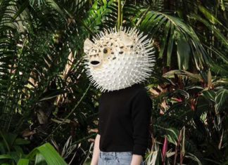 Liz Sexton Crafts Cool Animal Masks For Humans to Wear