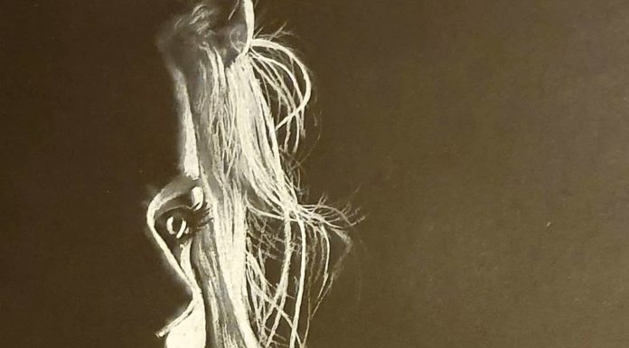 Zulf’s Powerful Women Emerge From the Dark Into the Light