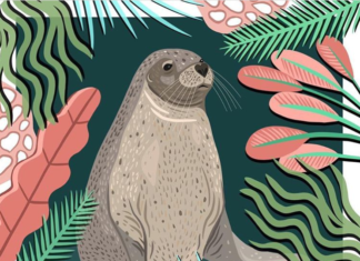 Bea Baranowska Depicts Illustrations From Her Surroundings